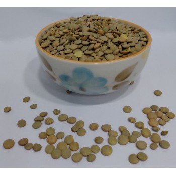 عدس سبز 900 گرمی