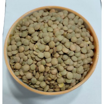 عدس سبز 900 گرمی